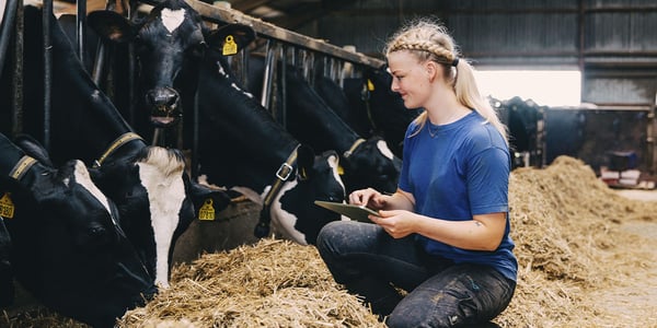 Management-tips-1200x600